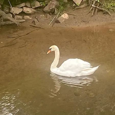 Riverbank District Double Balcony Holiday home *